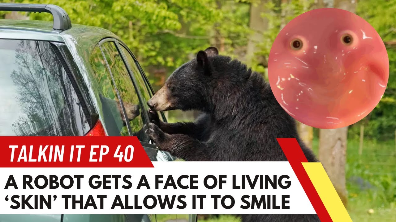 Talkin It Ep 40: When Robots Smile & Bears Steal Chips Talkin It Ep 40: When Robots Smile & Bears Steal Chips