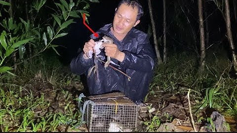 Cắm Câu Ếch Đồng Vùng Đồi Đá Mùa Mưa Dầm Tháng 7 Âm 