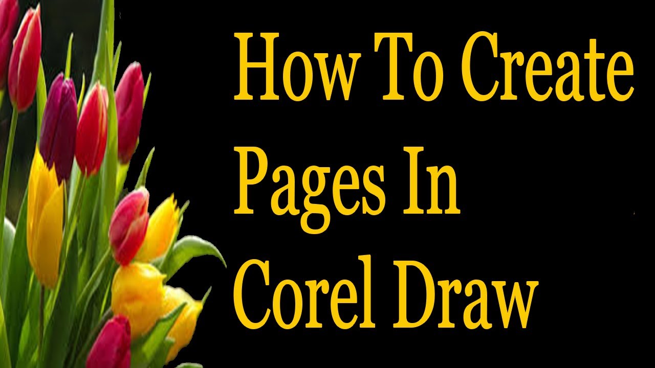 How to Create Pages in Corel Draw ( in Tamil ) YouTube