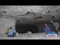 Indiana Bats call Tri-State cave home