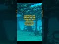 Unexplained Files #24: 12,000-Year City Under Sea