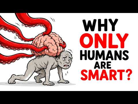Why Didn't Evolution Make More Species Like Us ?
