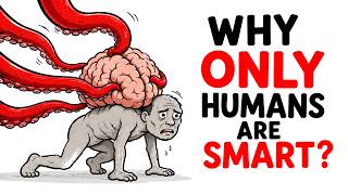 Why Didn't Evolution Make More Species Like Us 