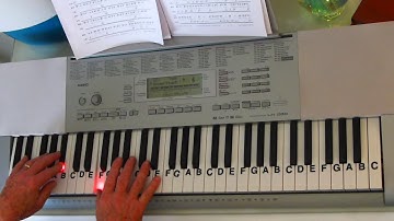 LNP Cover Tutorial ~ You Are The Reason ~ Calum Scott ~ LetterNotePlayer ©