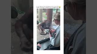 He definitely traumatized her 😭 via- briannna.e/tiktok