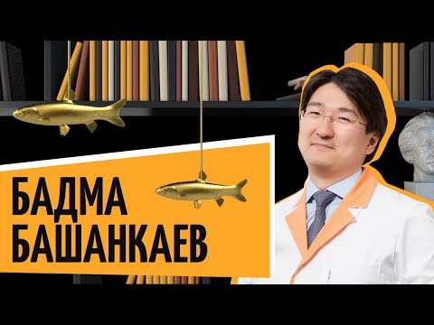 Бадма Башанкаев | «Рыбный день.Онлайн» | «Vol.12. Доктор Хаос»