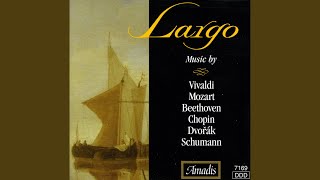 Concerto for lute, 2 violins and basso continuo in D major, RV 93: II. Largo