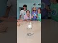 Amazing Shot! #kidsfun