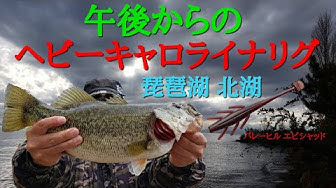 ヘビーキャロライナリグ Youtube