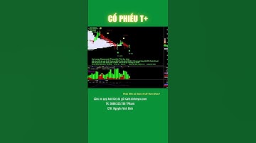 Cổ phiếu VIC, Tập đoàn Vingroup