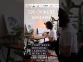 IGNOU|CBS അഡ്മിഷൻ വഴി നിങ്ങളുടെ കരിയറിലേക്കുള്ള ആദ്യപടി വെയ്ക്കൂ! help desk-7012461727