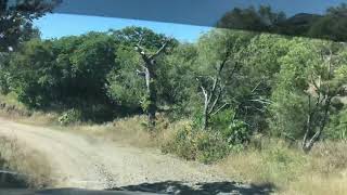 Por rancho las flores SAN DIONISIO OCOTEPEC OAXACA