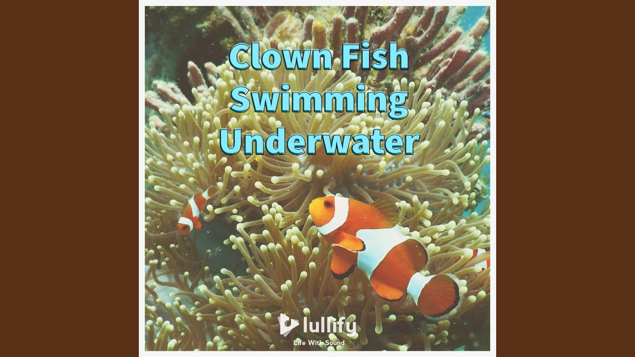 Guarda In the Sea su YouTube