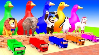 5 Giant Duck, Cow, Elephant, Tiger, Gorilla, Animals 3D, Lion, Transfiguration funny animal 2023