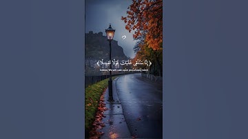 تلاوة خاشعة 😻🌷 #اكسبلور #المصحف #الرحمن #المغرب #الجزائر #اسبانيا #مصر #تركيا #تونس #ترند #viral