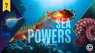 👉 “7 Ocean Superpowers That Sound Unreal”