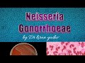 Microbiology lecture|Neisseria Gonorrhoeae symptoms, pathogenesis, diagnosis, treatment|Neisseria