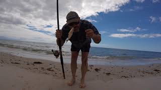 Beach Fishing With KING WORMS: You Will Catch Multiple Species