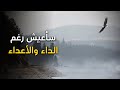 قصيدة سأعيش رغم الداء والأعداء أبو القاسم الشابي