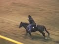 2004 National Western Stock Show Freestyle Reining - Stacy Westfall