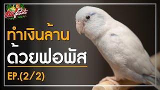 ทำเงินล้านด้วยฟอพัส (2/2)