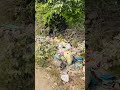 kaise kaise Lagte Hain😅#shorts #viral #vlog #trending