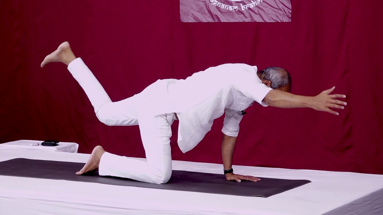 Traditional Yoga Episode 372 on May 23, 2020 YouTube