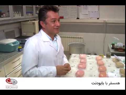 همسفر با بایودنت بازدید از کارخانه ماسترفوده 5