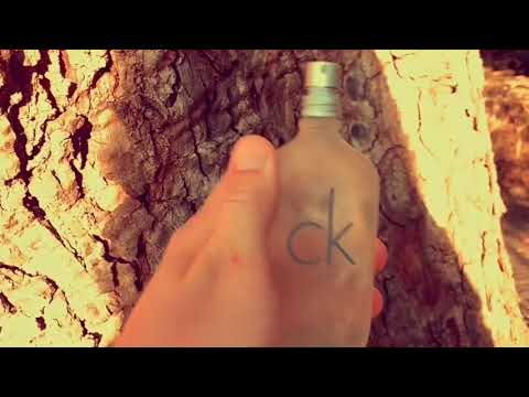 Top Statut Pour WhatsApp 