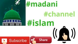 how to use Madani channel application on Android screenshot 3
