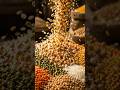 From Indian Farms to Global Markets - GSNF UAE Export Opportunities