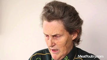 Animal Welfare Perspectives