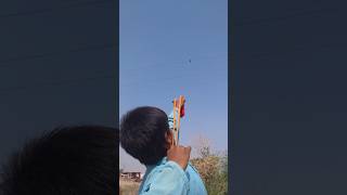 Pro Birds Hunting With Slingshot birds Hunting birds Shot hunting  slingshot Hunting