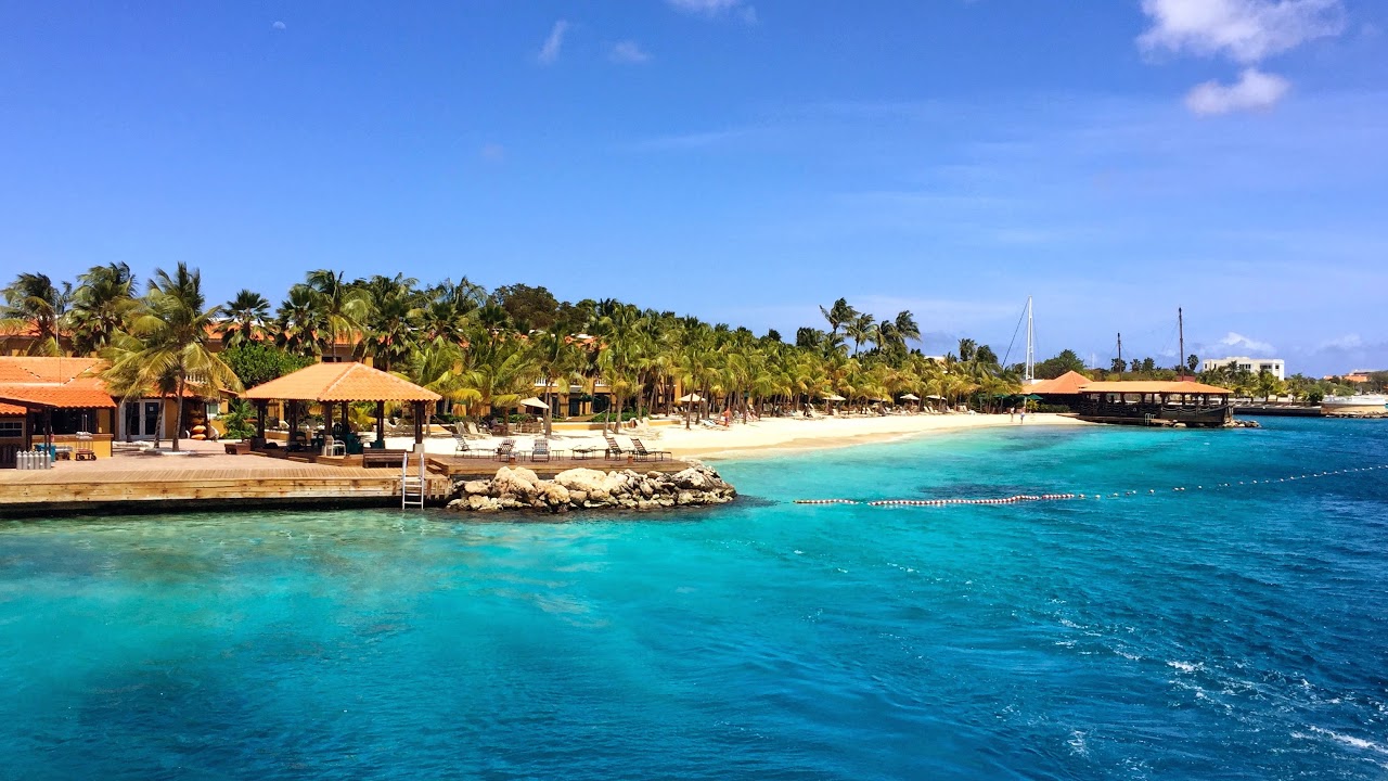 Harbour Village Bonaire Coral Reef