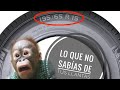 🤩Llantas: [lo que debes saber] ✔😲 EXPLICACIÓN 😁