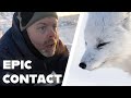 EYE to EYE with a cute killer - Wildlife photography in Svalbard