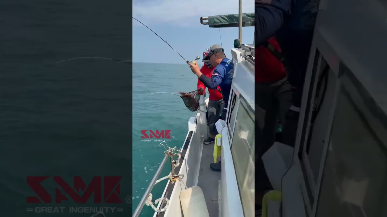 3.6kt流水，怎麼釣@@這次的淡水海域釣遊，一早的流水幾乎靜止，過中午直接轉為強流...  幸好流強時大真鯛活躍，但眾人也脫鉤數次...#莎美武士tc游動丸 #莎美武士游動丸實心竿 #タイラバ