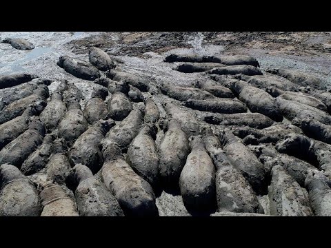 Uruguay leidet unter extremer Dürre und Wassermangel | DW Nachrichten