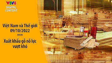 Xuất khẩu gỗ nỗ lực vượt khó| VTV4