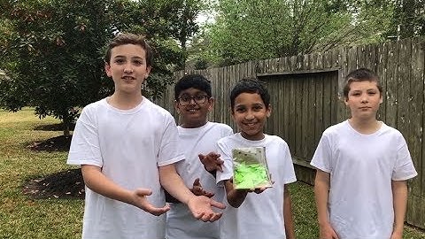 Algatiles ExploraVision