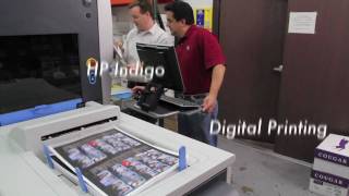 Indigo Yearbook Production