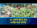গ্রামজুড়ে সবজি চাষ, ৪০ একরে ১০ ধরনের সবজি | Vegetable Farming | Winter Vegetables | Rtv