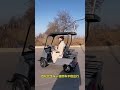Amazing Electric 4-Wheel Mobility Scooter | Hill Climbing King for Seniors &amp; Families! 🚗⚡ #segway
