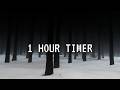 White noise - 1 Hour Lofi Timer