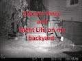 Electric Fence | Night Life On My Backyard.