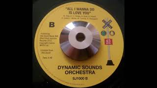 Dynamic Sounds Orchestra - All I Wanna Do Is Love You (SOUL JUNCTION)