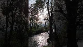 #soul #nature #travel #music #love #saiyaara #swat #swati #river #singhara #tree #bewithyou #growth