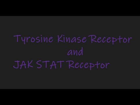Tyrosine Kinase Receptor