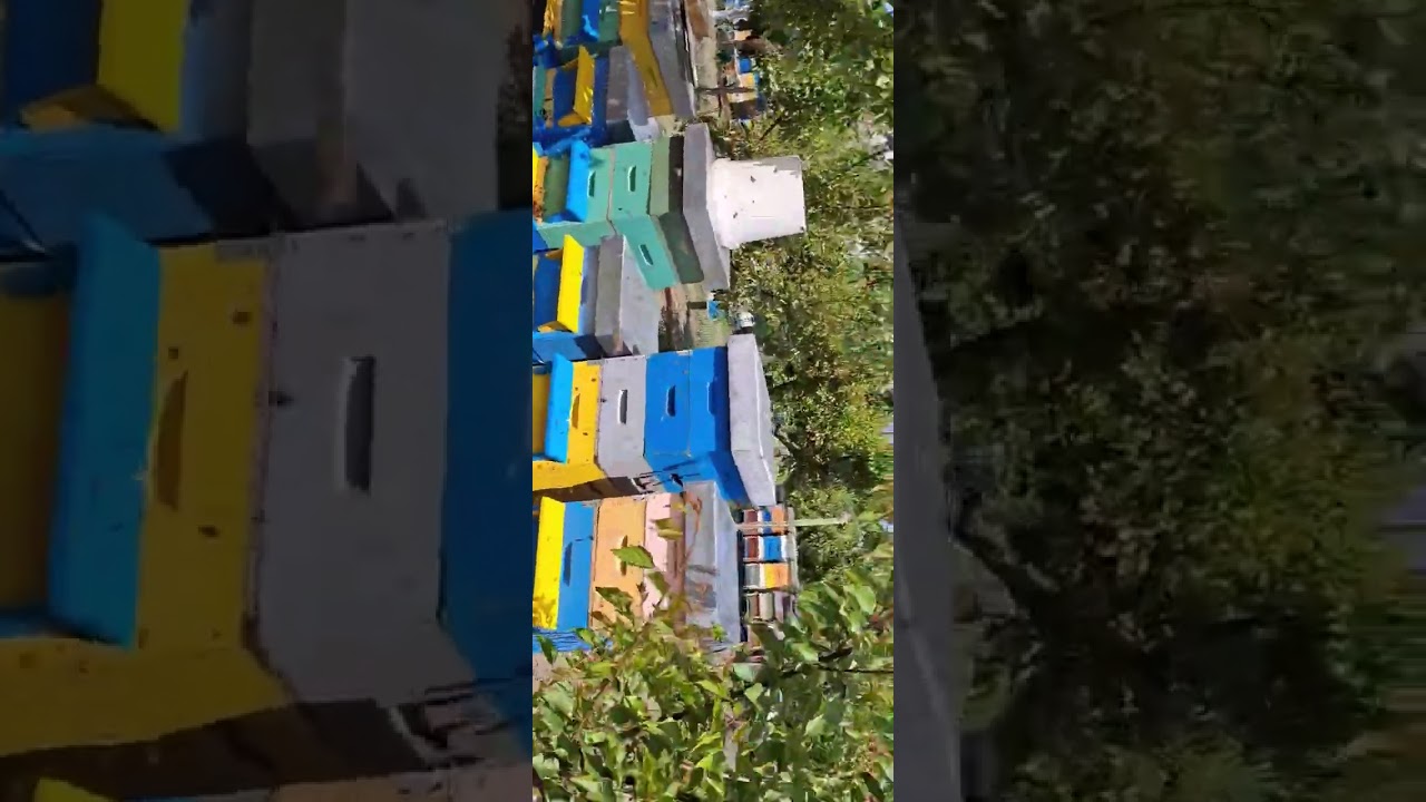 O fi bine ? O fi rău ?