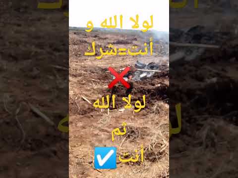 احذر حرفين فقط غيرتا المعنى الواو وثم 